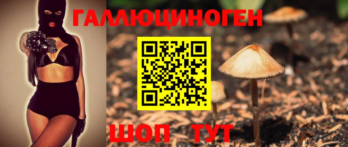 Псилоцибиновые грибы GOLDEN TEACHER Алушта
